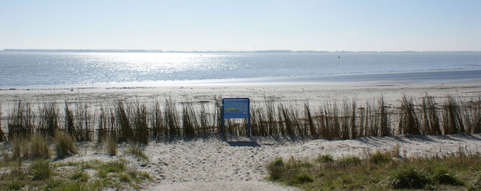 Kitesurfen.jpg