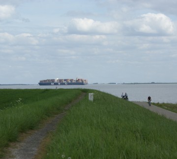 schip op Westerschelde