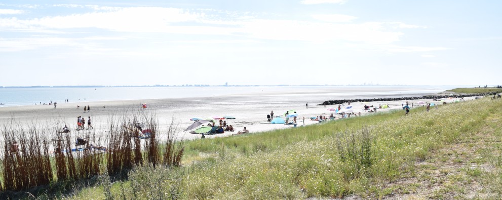 DSC_0326.JPG DSC_0326.JPG