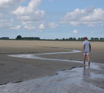 wadlopen Westerschelde