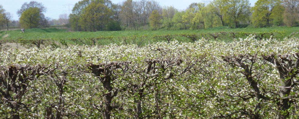 Nationaal Landschap Zak van Zuid Beveland