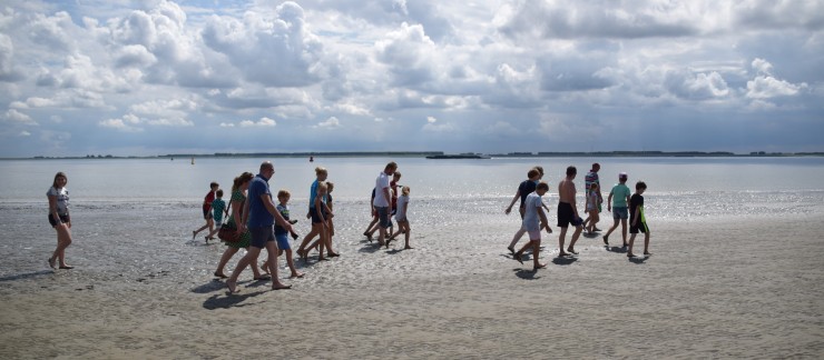 wadlopen Westerschelde